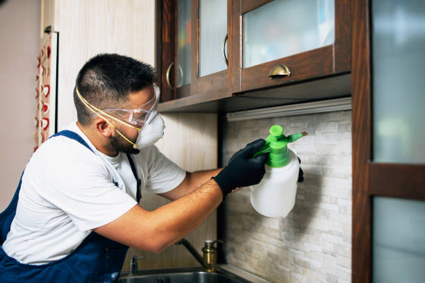 Best Cockroach Control Services  in Lakeview, OR