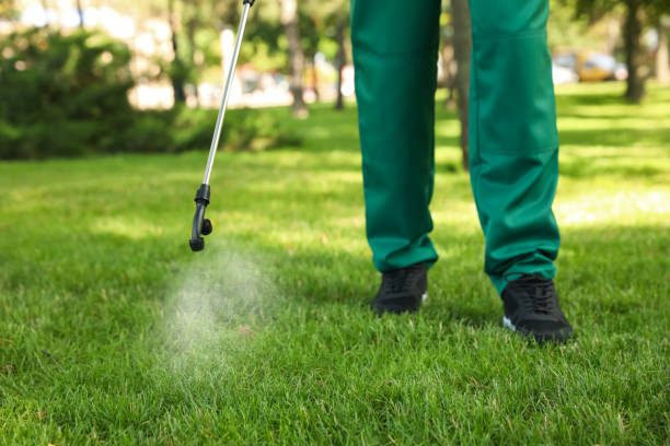 Best Spider Control Near Me  in Lakeview, OR