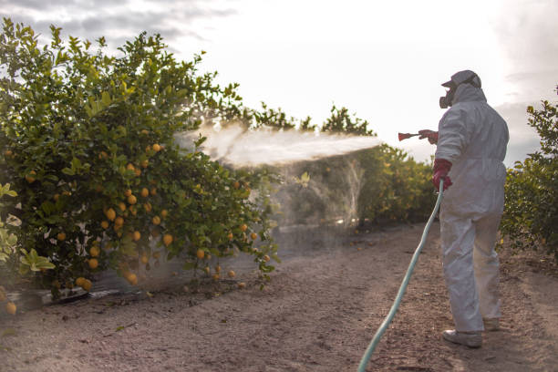 Pest Control for Restaurants in Lakeview, OR