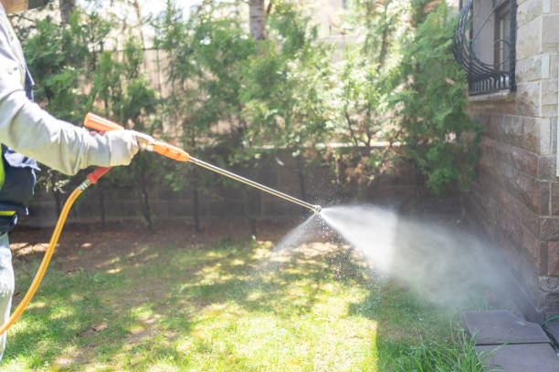 Best Affordable Pest Control Services  in Lakeview, OR