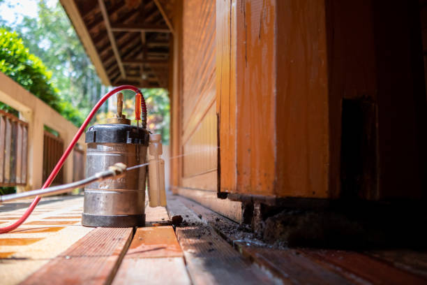 Best Rat Extermination Near Me  in Lakeview, OR