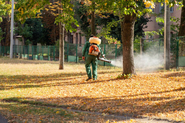 Pest Prevention Services in Lakeview, OR